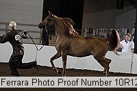 10r12_3871 proof