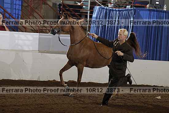 Proof 10r12_3873
