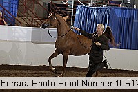 10r12_3873 proof