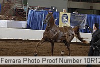 10r12_3874 proof