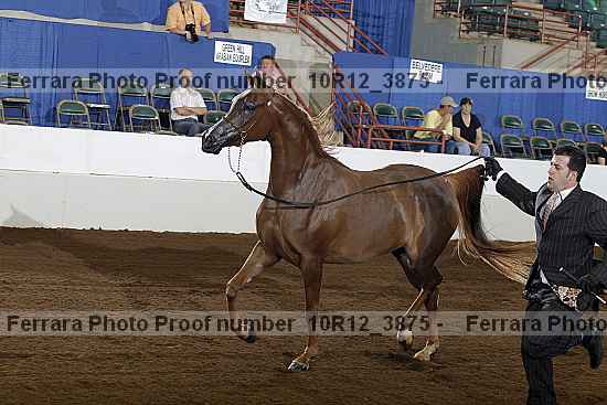 Proof 10r12_3875