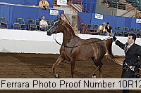 10r12_3875 proof