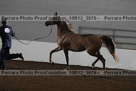 Proof 10r12_3876