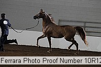 10r12_3876 proof