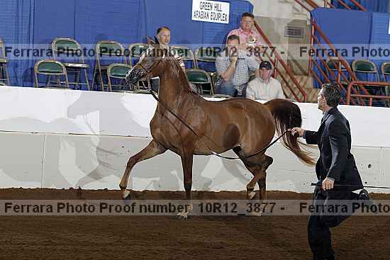 Proof 10r12_3877