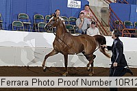 10r12_3877 proof