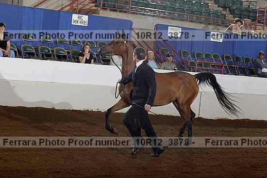 Proof 10r12_3878