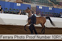 10r12_3878 proof