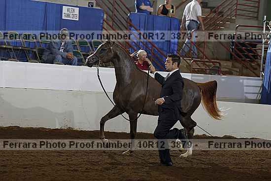 Proof 10r12_3879