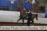 10r12_3879 proof
