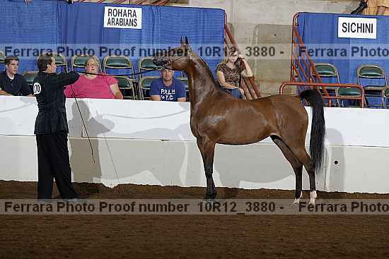 Proof 10r12_3880
