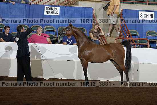 Proof 10r12_3881