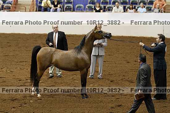 Proof 10r12_3882