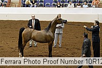 10r12_3882 proof