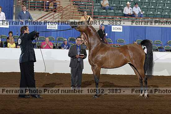Proof 10r12_3883