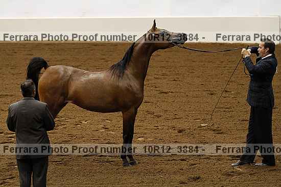 Proof 10r12_3884