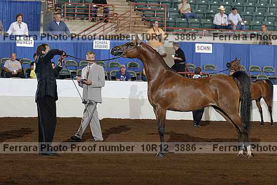 Proof 10r12_3886