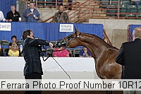 10r12_3887 proof
