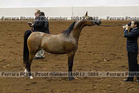 Proof 10r12_3888