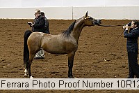 10r12_3888 proof