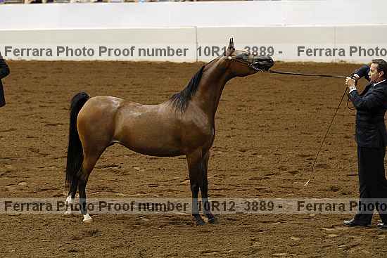 Proof 10r12_3889