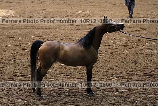 Proof 10r12_3890