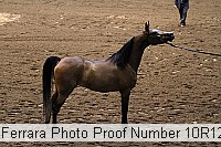 10r12_3890 proof