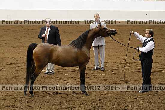 Proof 10r12_3891