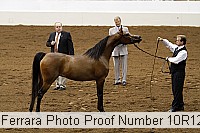 10r12_3891 proof
