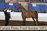 10r12_3892 proof
