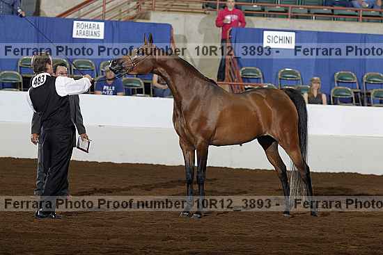 Proof 10r12_3893