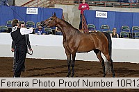 10r12_3893 proof