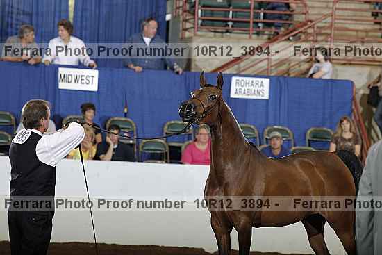 Proof 10r12_3894