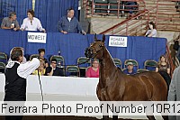 10r12_3894 proof