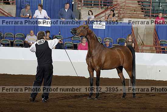 Proof 10r12_3895