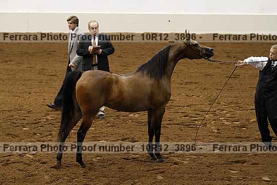 Proof 10r12_3896
