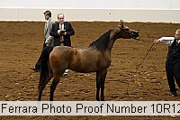 10r12_3896 proof