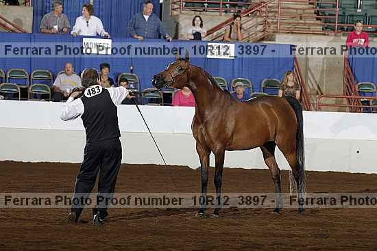 Proof 10r12_3897