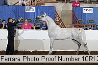 10r12_3899 proof