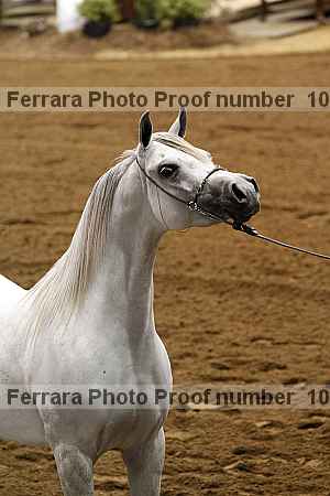 Proof 10r12_3900