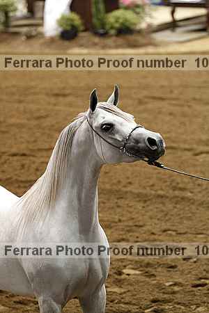Proof 10r12_3901