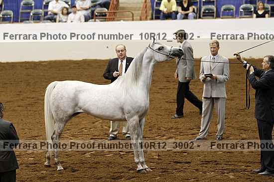 Proof 10r12_3902