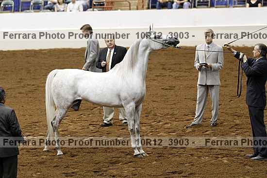 Proof 10r12_3903