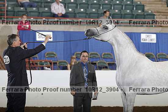 Proof 10r12_3904