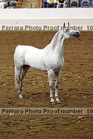 Proof 10r12_3905
