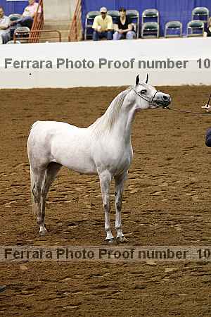 Proof 10r12_3906