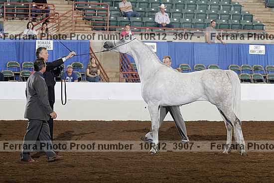Proof 10r12_3907