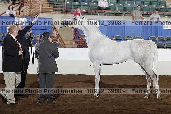 Proof 10r12_3908