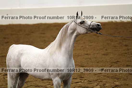 Proof 10r12_3909