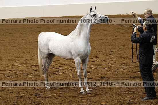 Proof 10r12_3910
